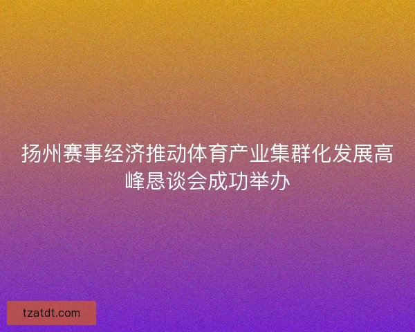 扬州赛事经济推动体育产业集群化发展高峰恳谈会成功举办 扬州赛事经济推动体育产业集群化发展高峰恳谈会成功举办